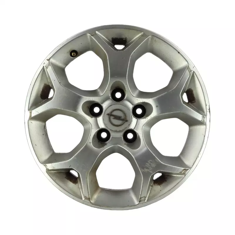 Image 1