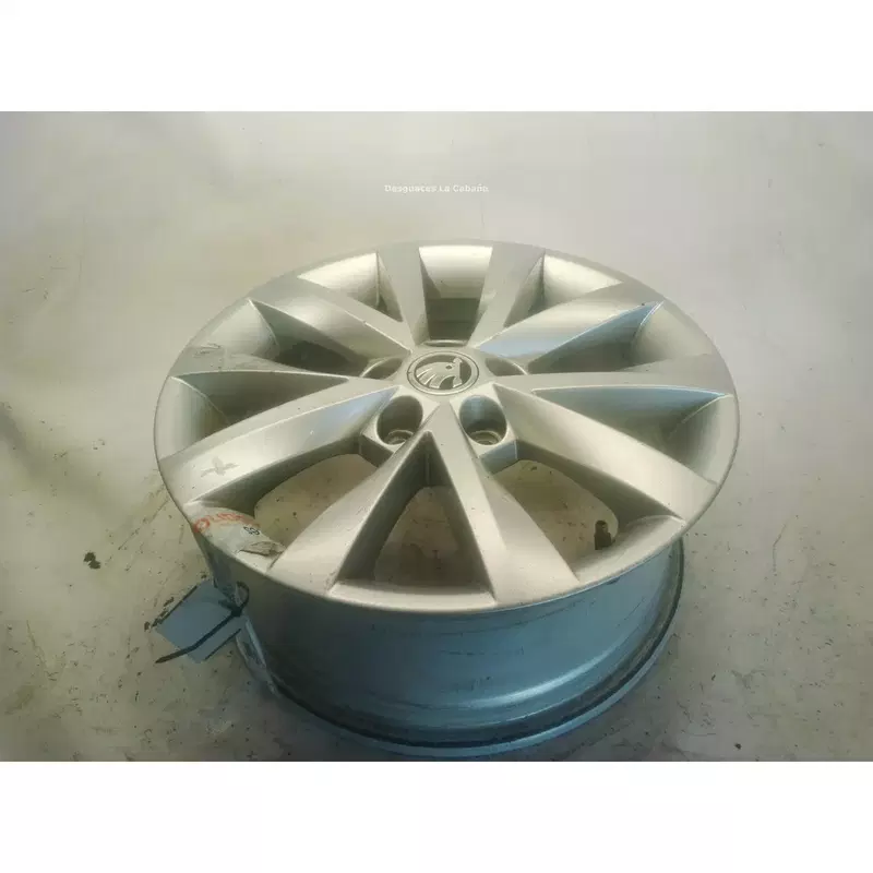Image 1