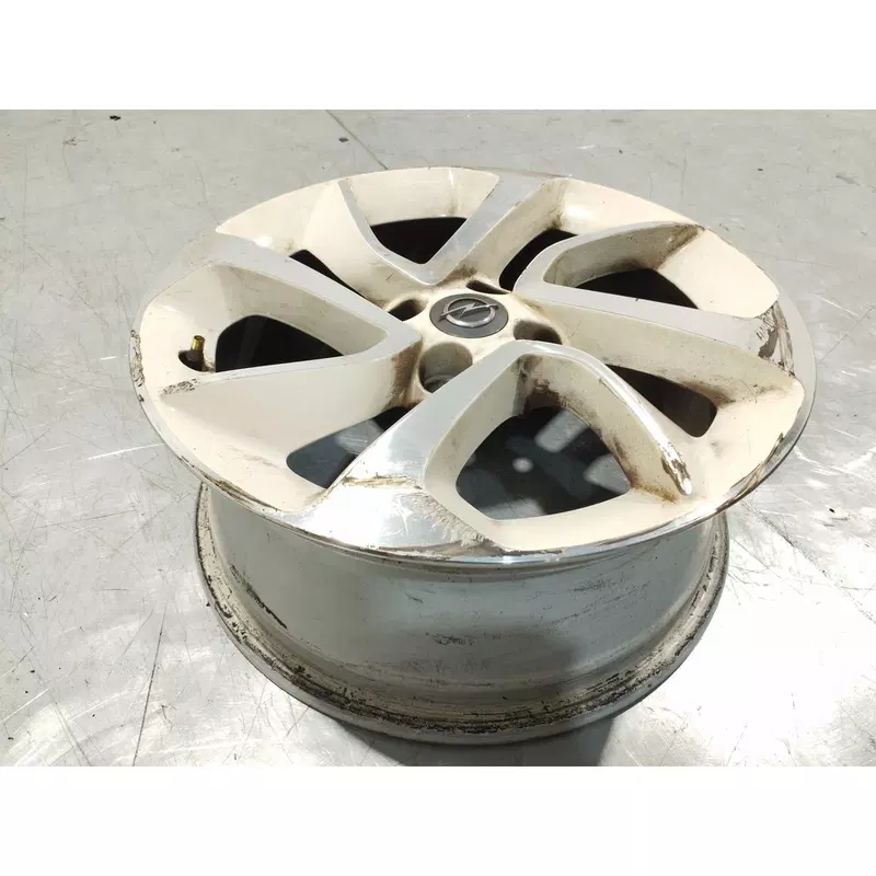 Image 1