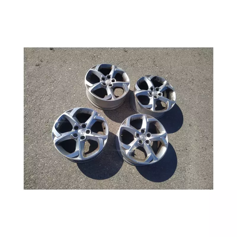 Image 1