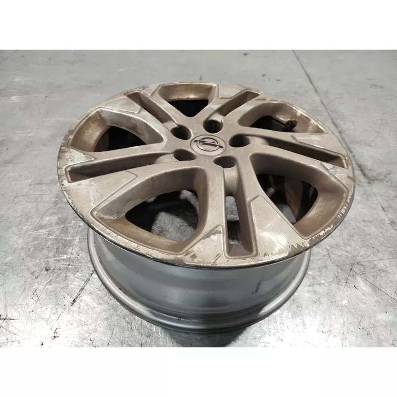 Image 1