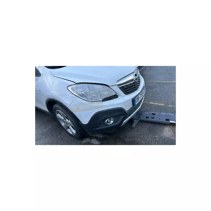 Image 1