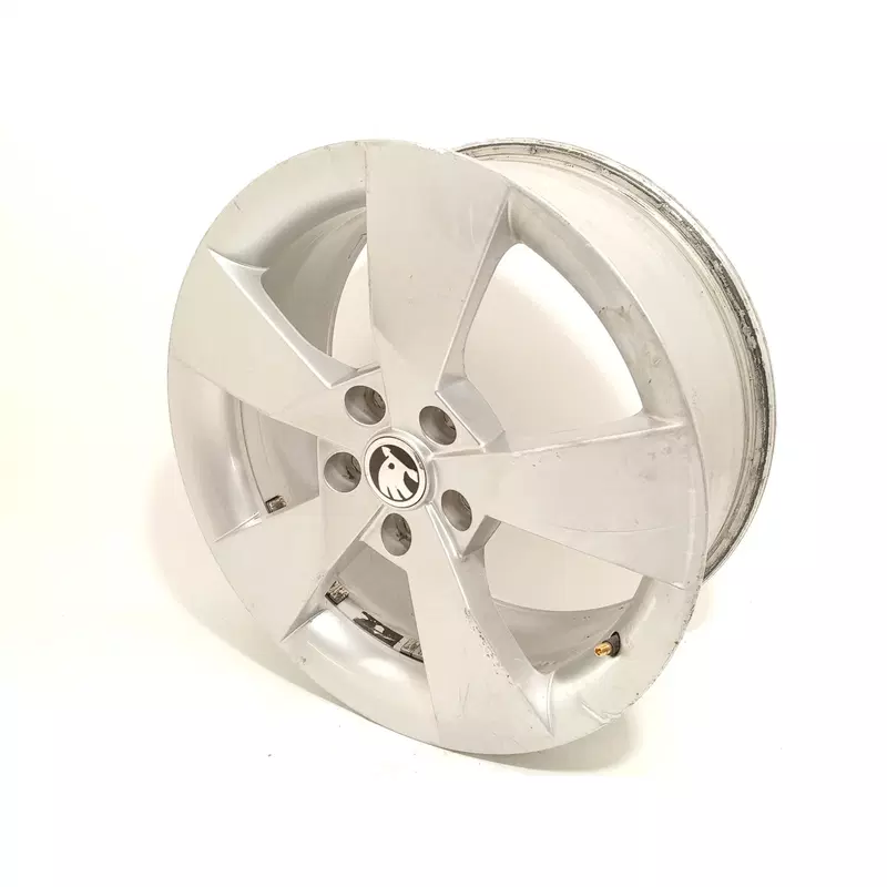 Image 1