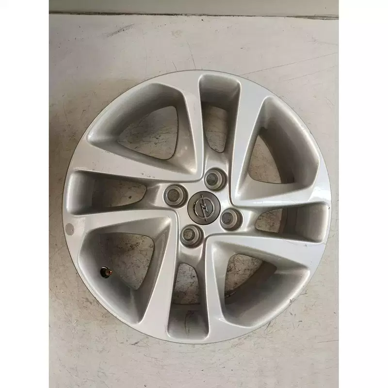 Image 1